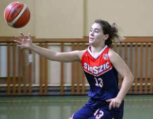 kosz dz 3